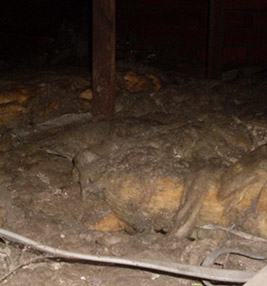 old loft unstable flooring